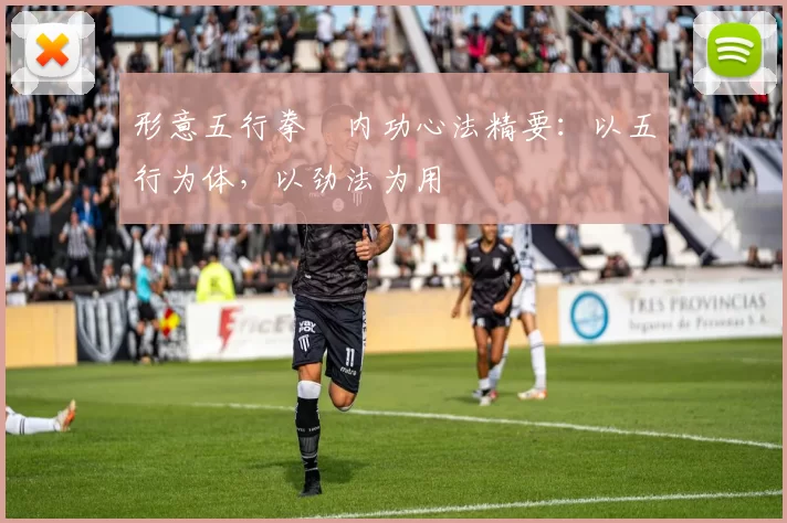 形意五行拳・内功心法精要:以五行为体,以劲法为用