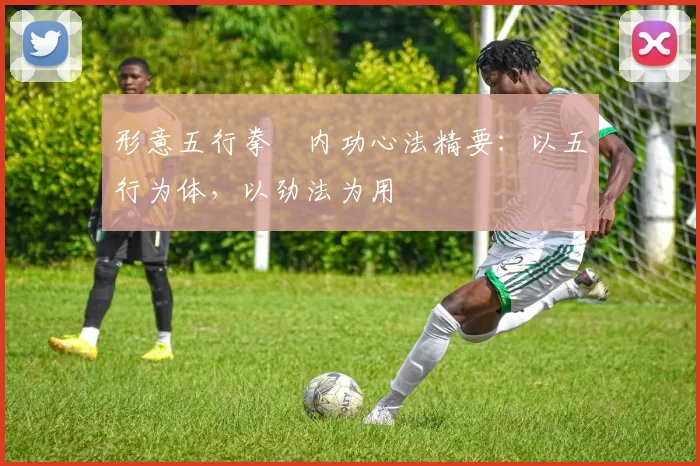 形意五行拳・内功心法精要:以五行为体,以劲法为用