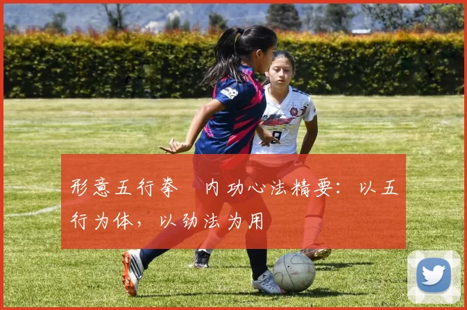 形意五行拳・内功心法精要:以五行为体,以劲法为用