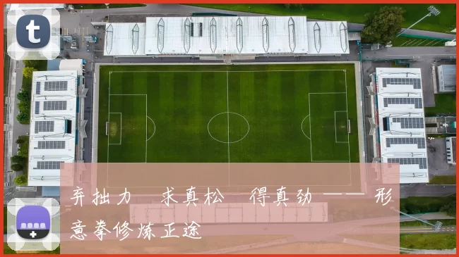 弃拙力・求真松・得真劲 —— 形意拳修炼正途