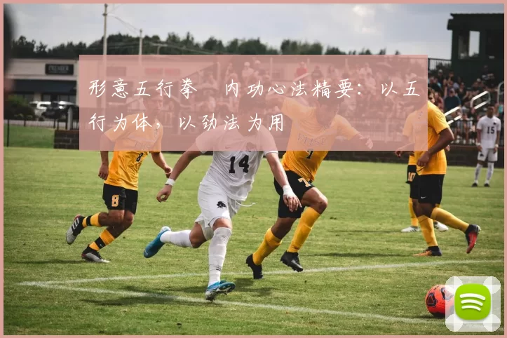 形意五行拳・内功心法精要：以五行为体，以劲法为用