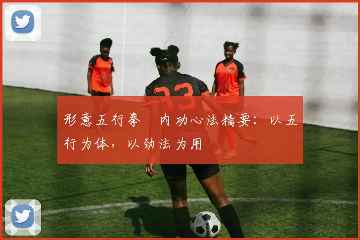 形意五行拳・内功心法精要:以五行为体,以劲法为用