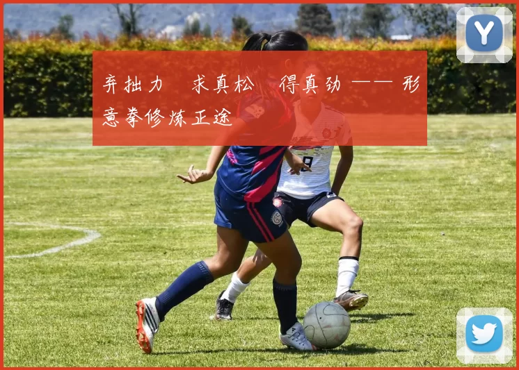 弃拙力・求真松・得真劲 —— 形意拳修炼正途