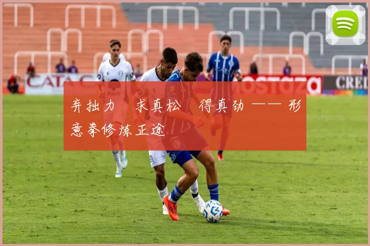 弃拙力・求真松・得真劲 —— 形意拳修炼正途