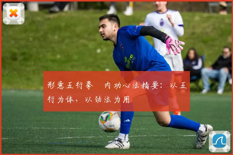 形意五行拳・内功心法精要:以五行为体,以劲法为用