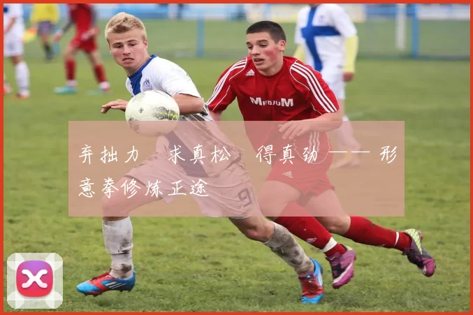 弃拙力・求真松・得真劲 —— 形意拳修炼正途