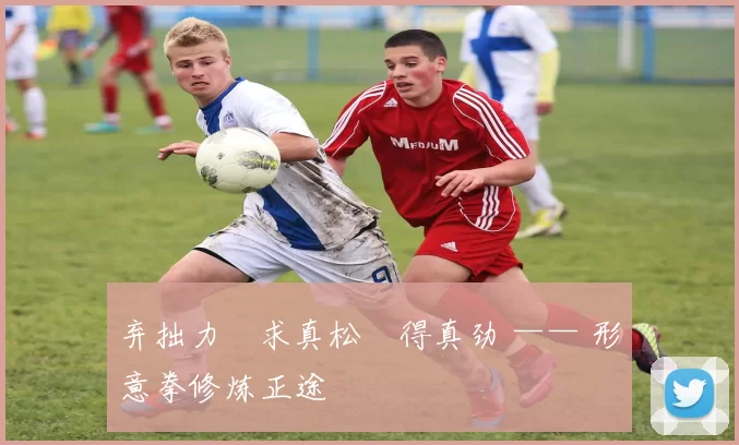 弃拙力・求真松・得真劲 —— 形意拳修炼正途