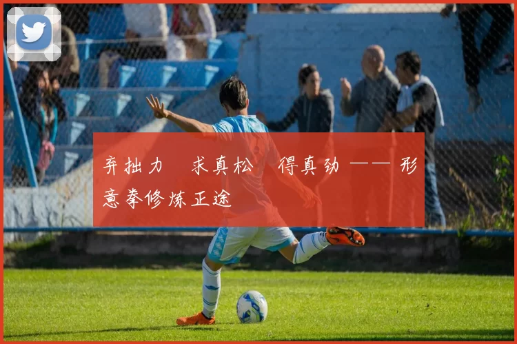 弃拙力・求真松・得真劲 —— 形意拳修炼正途