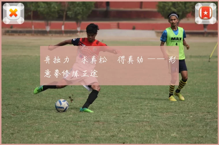 弃拙力・求真松・得真劲 —— 形意拳修炼正途