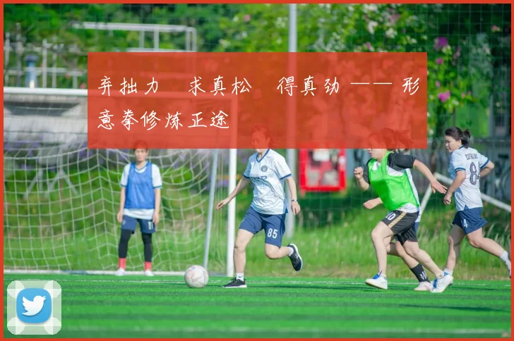 弃拙力・求真松・得真劲 —— 形意拳修炼正途