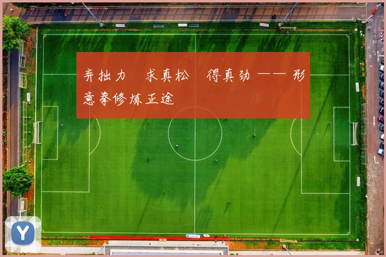 弃拙力・求真松・得真劲 —— 形意拳修炼正途