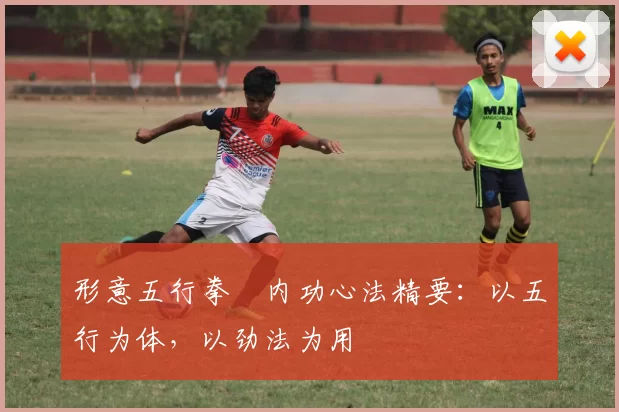 形意五行拳・内功心法精要：以五行为体，以劲法为用