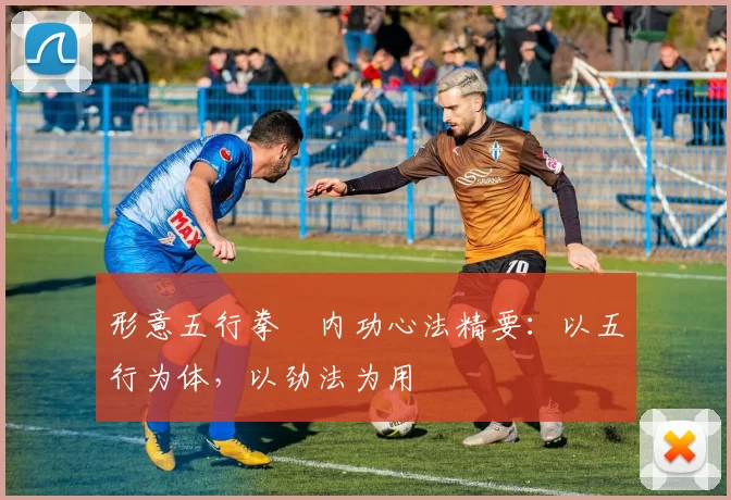 形意五行拳・内功心法精要:以五行为体,以劲法为用