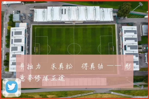 弃拙力・求真松・得真劲 —— 形意拳修炼正途