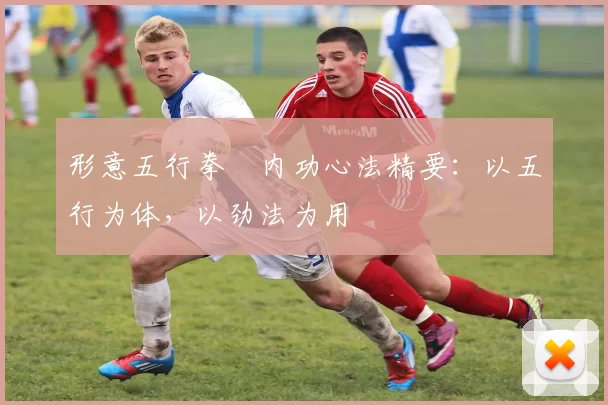 形意五行拳・内功心法精要：以五行为体，以劲法为用