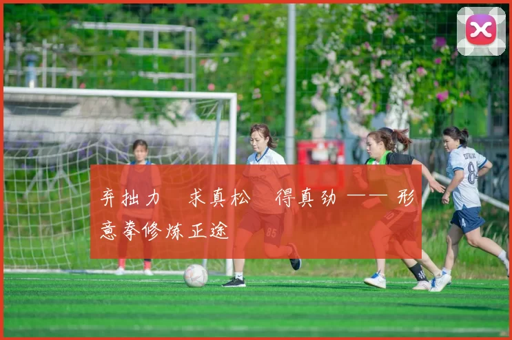 弃拙力・求真松・得真劲 —— 形意拳修炼正途