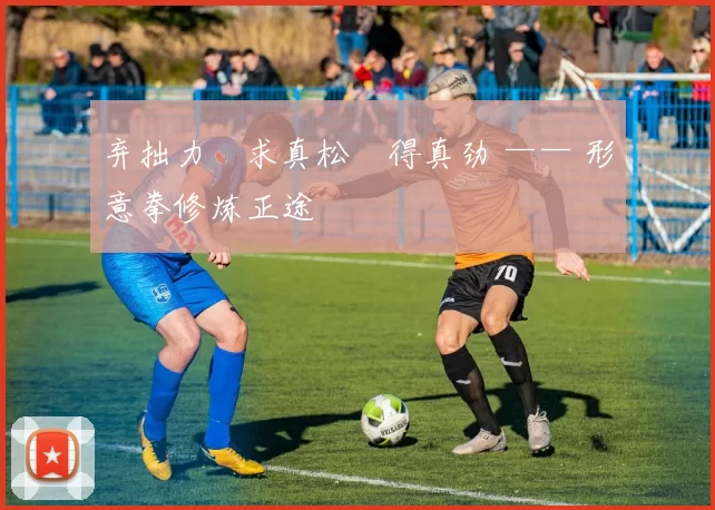 弃拙力・求真松・得真劲 —— 形意拳修炼正途