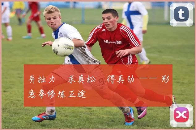 弃拙力・求真松・得真劲 —— 形意拳修炼正途