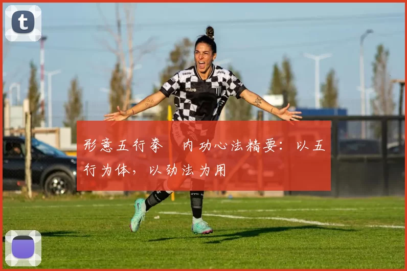 形意五行拳・内功心法精要：以五行为体，以劲法为用