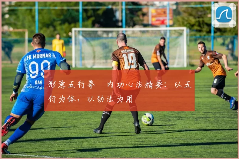 形意五行拳・内功心法精要：以五行为体，以劲法为用