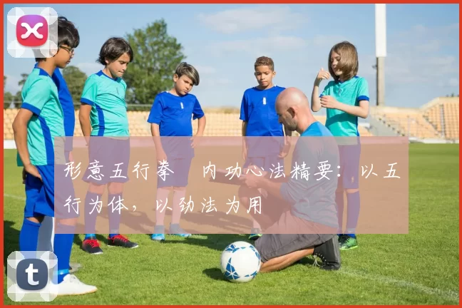 形意五行拳・内功心法精要：以五行为体，以劲法为用