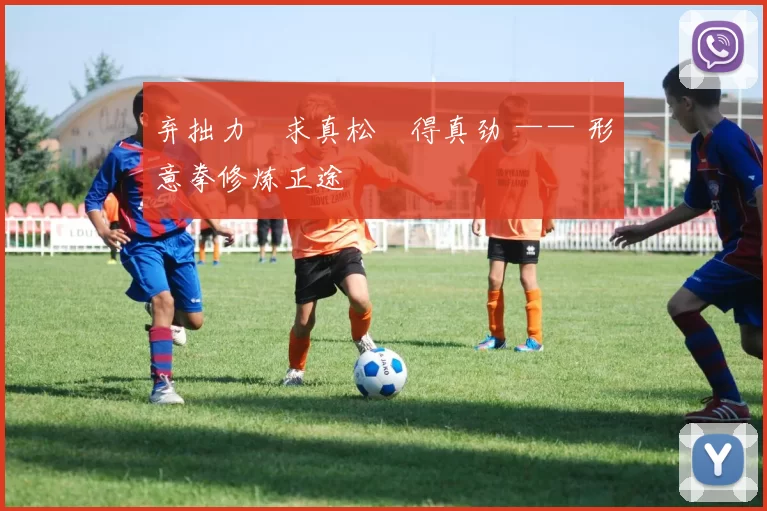 弃拙力・求真松・得真劲 —— 形意拳修炼正途