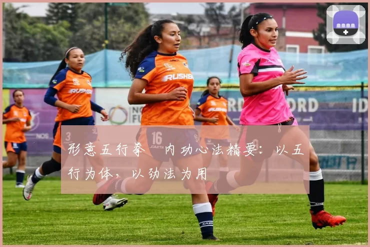 形意五行拳・内功心法精要:以五行为体,以劲法为用