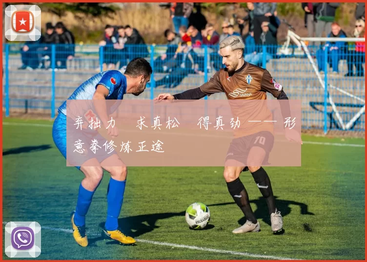 弃拙力・求真松・得真劲 —— 形意拳修炼正途