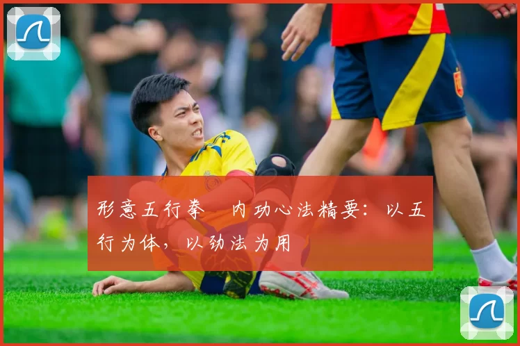 形意五行拳・内功心法精要：以五行为体，以劲法为用