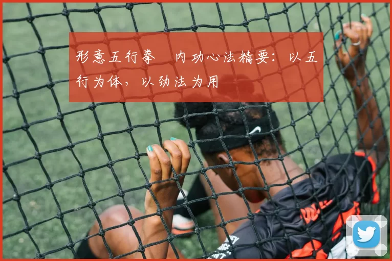 形意五行拳・内功心法精要：以五行为体，以劲法为用