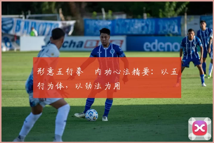 形意五行拳・内功心法精要：以五行为体，以劲法为用