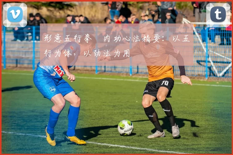 形意五行拳・内功心法精要:以五行为体,以劲法为用