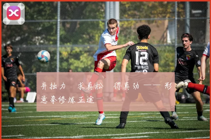 弃拙力・求真松・得真劲 —— 形意拳修炼正途