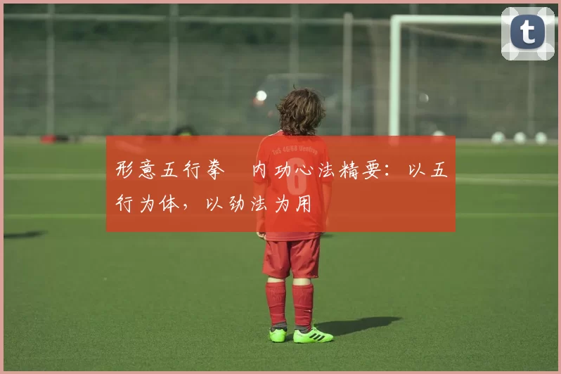 形意五行拳・内功心法精要：以五行为体，以劲法为用