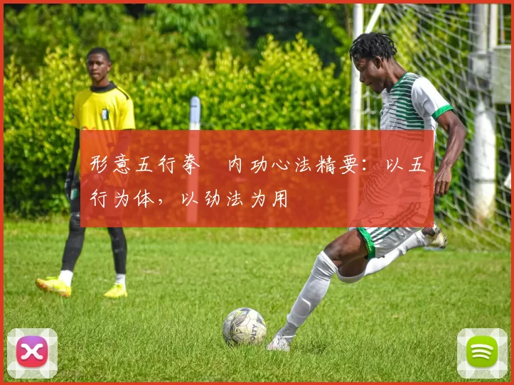 形意五行拳・内功心法精要：以五行为体，以劲法为用