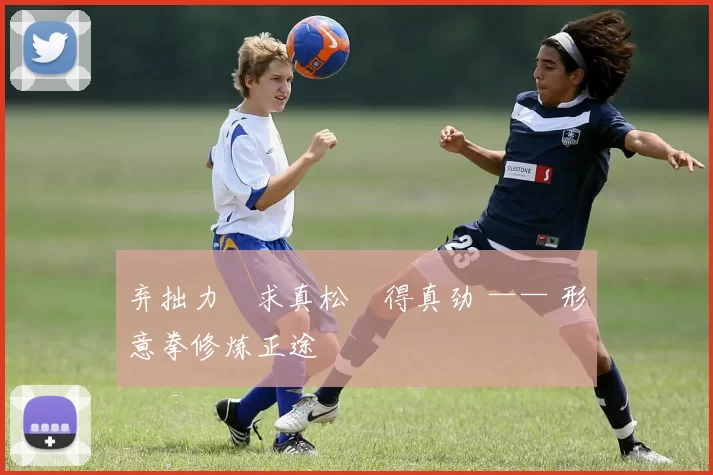 弃拙力・求真松・得真劲 —— 形意拳修炼正途