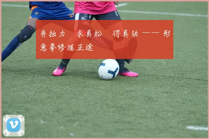 弃拙力・求真松・得真劲 —— 形意拳修炼正途