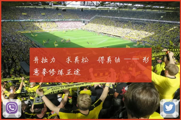 弃拙力・求真松・得真劲 —— 形意拳修炼正途