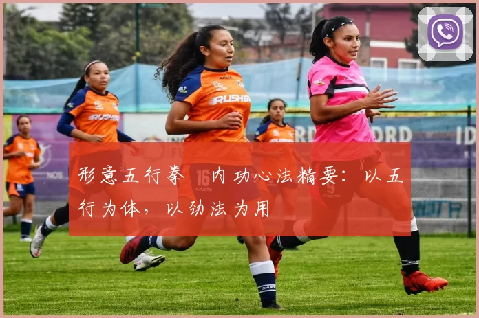 形意五行拳・内功心法精要：以五行为体，以劲法为用