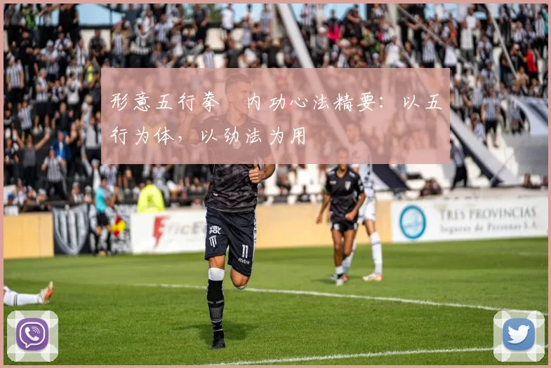 形意五行拳・内功心法精要:以五行为体,以劲法为用