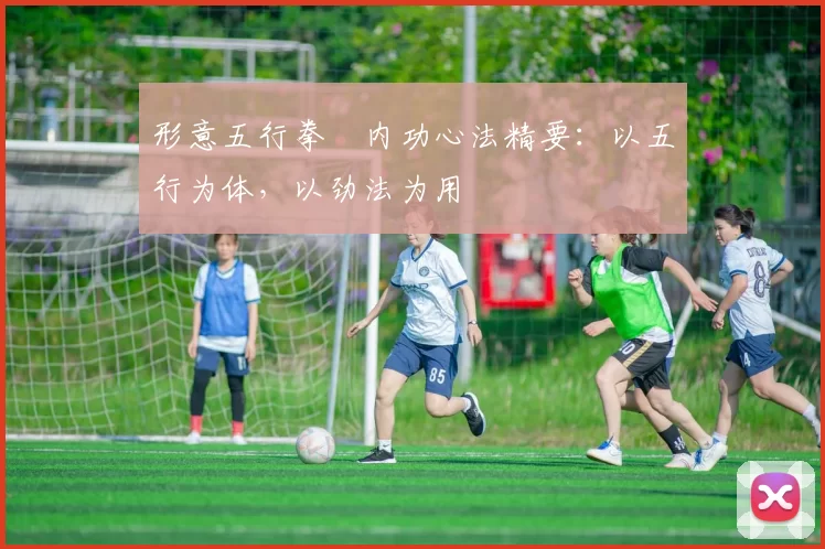 形意五行拳・内功心法精要:以五行为体,以劲法为用