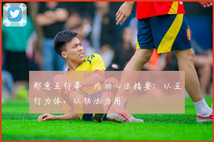 形意五行拳・内功心法精要:以五行为体,以劲法为用