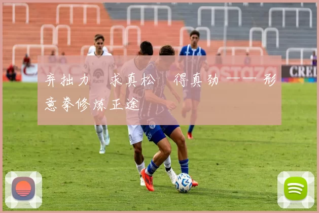 弃拙力・求真松・得真劲 —— 形意拳修炼正途