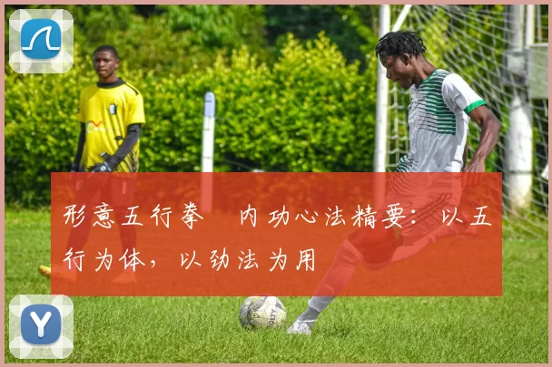 形意五行拳・内功心法精要：以五行为体，以劲法为用