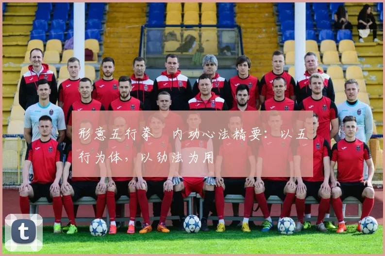 形意五行拳・内功心法精要：以五行为体，以劲法为用