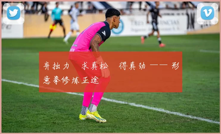 弃拙力・求真松・得真劲 —— 形意拳修炼正途