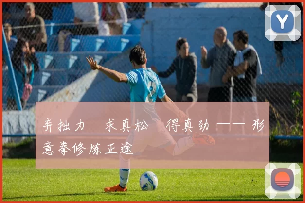 弃拙力・求真松・得真劲 —— 形意拳修炼正途