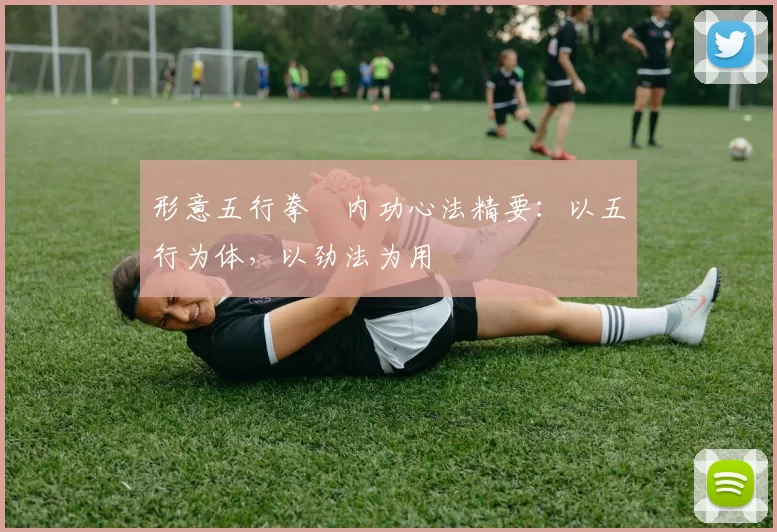 形意五行拳・内功心法精要：以五行为体，以劲法为用