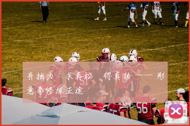 弃拙力・求真松・得真劲 —— 形意拳修炼正途