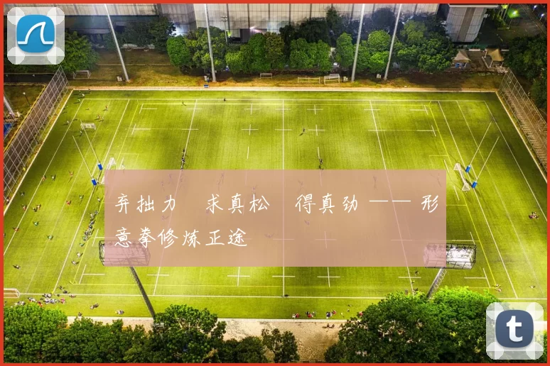 弃拙力・求真松・得真劲 —— 形意拳修炼正途